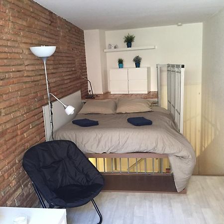 Le Petit Moulin, Duplex Hypercentre Toulouseアパートメント エクステリア 写真